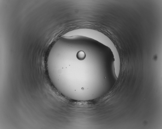 X0000116260524200912211739