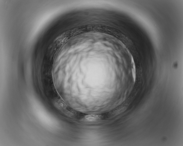 X0000116260526200912211739