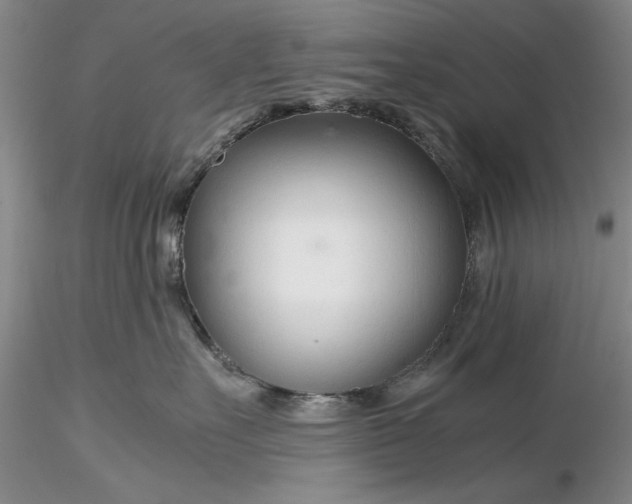 X0000116260527200912211739