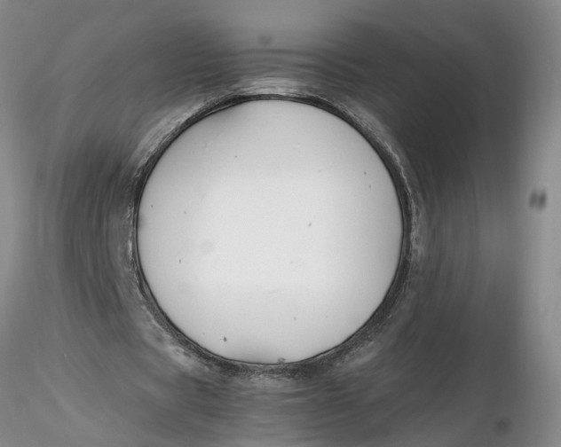 X0000116260529200912211738