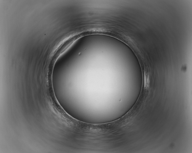 X0000116260531200912211738