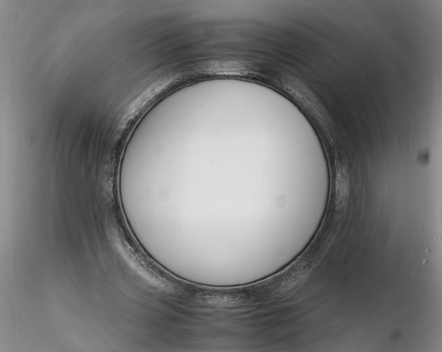 X0000116260533200912211738