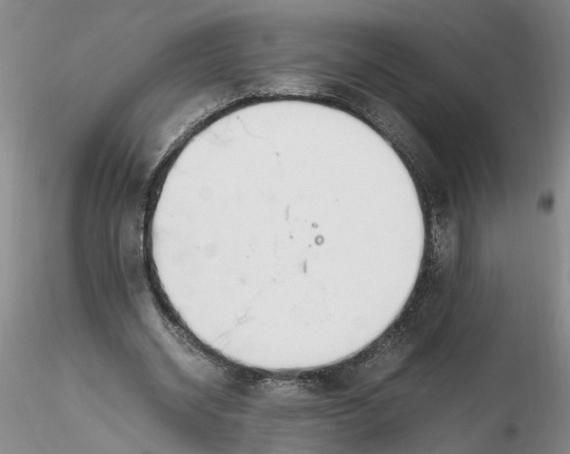 X0000116260534200912211738