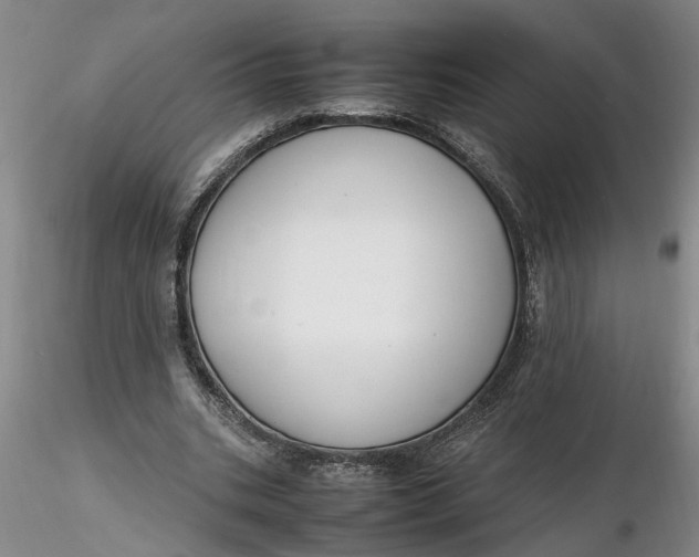 X0000116260535200912211738