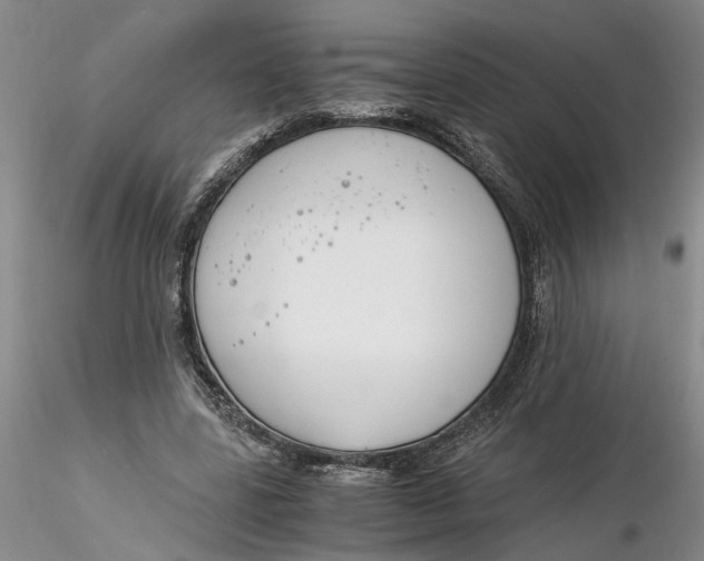 X0000116260539200912211738