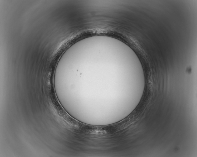 X0000116260543200912211738