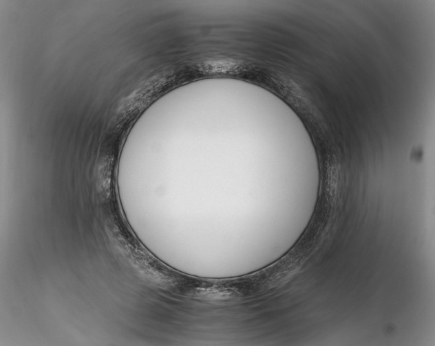 X0000116260545200912211738