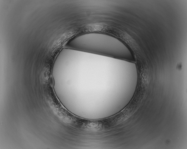 X0000116260546200912211738