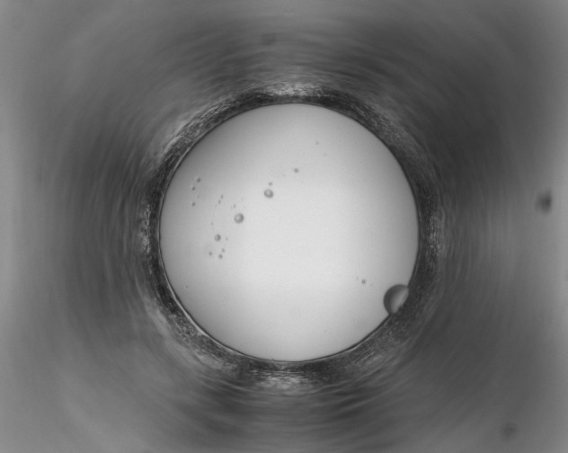 X0000116260547200912211738