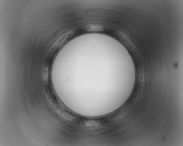 X0000116260549200912211738