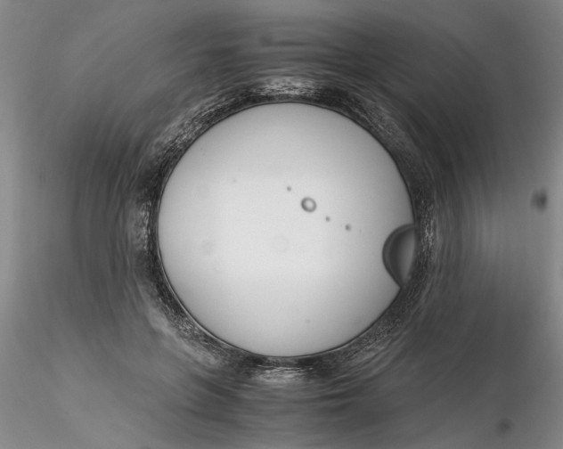 X0000116260551200912211738