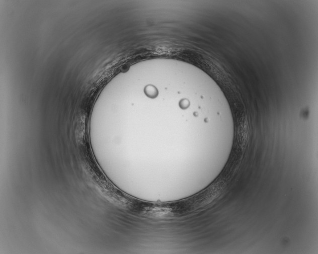 X0000116260554200912211739