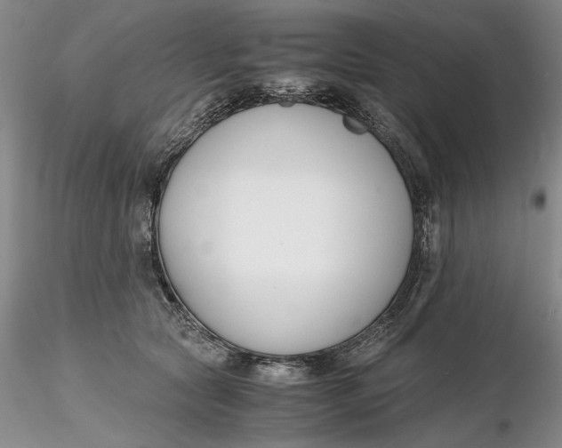X0000116260561200912211739