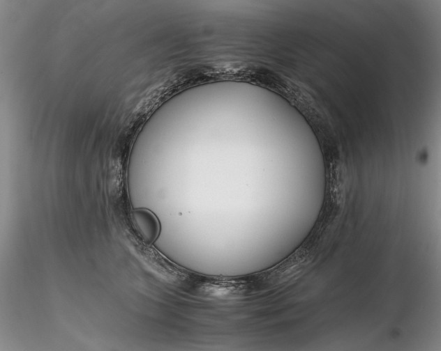 X0000116260563200912211739
