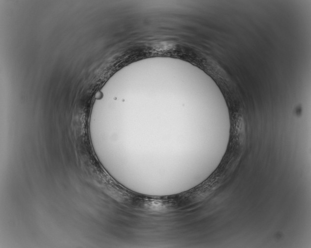 X0000116260565200912211739