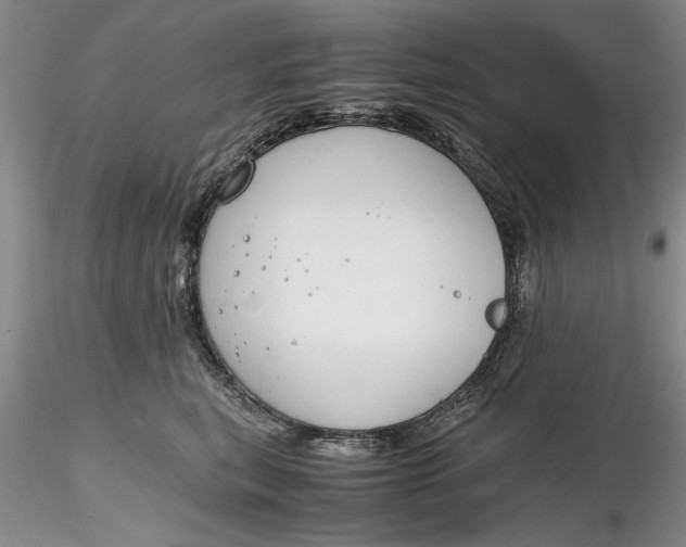 X0000116260567200912211739