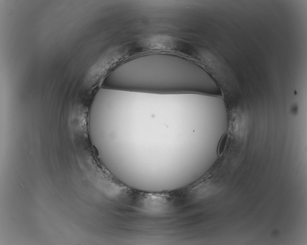 X0000116260573200912211739