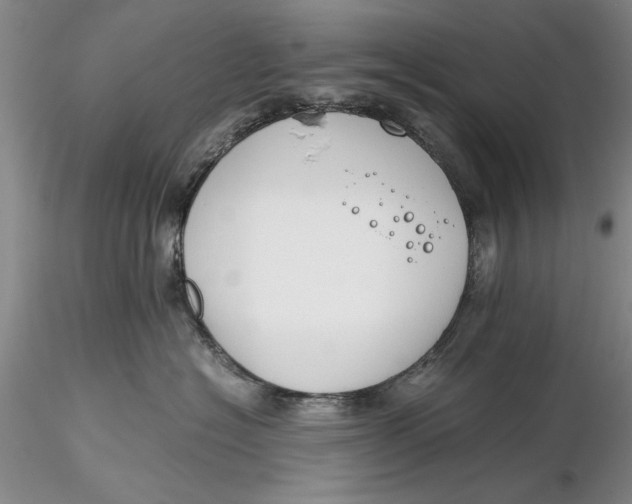 X0000116260574200912211739