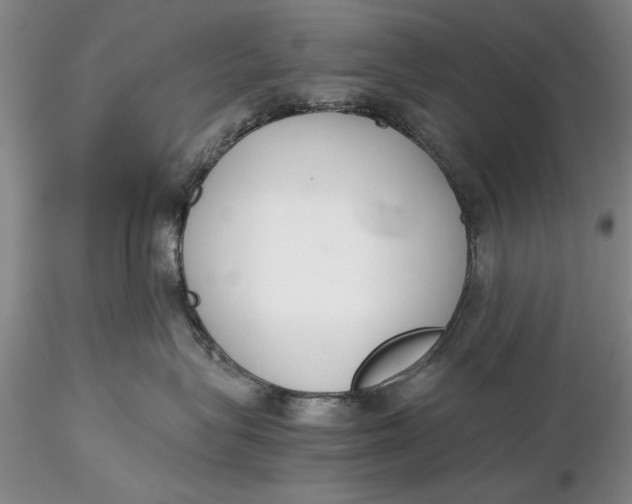 X0000116260575200912211739