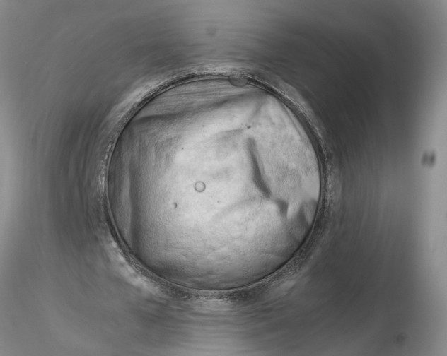 X0000116260577200912211738