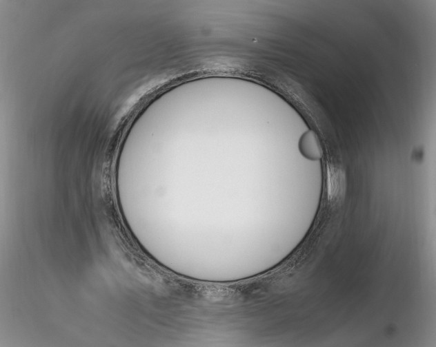 X0000116260579200912211738