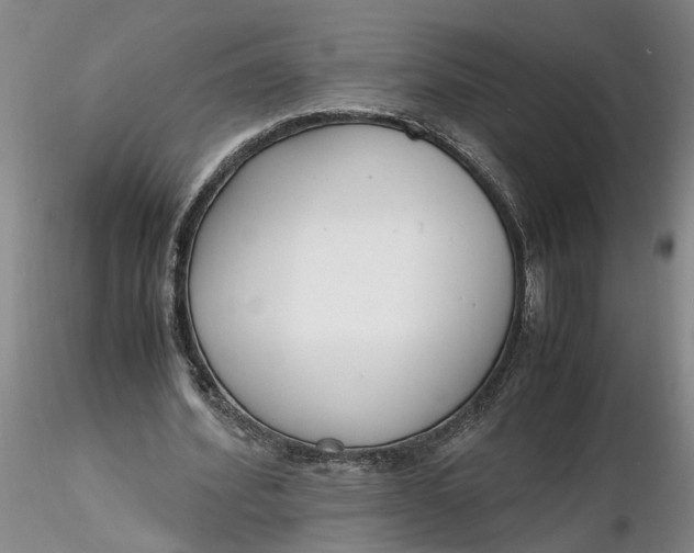 X0000116260580200912211738