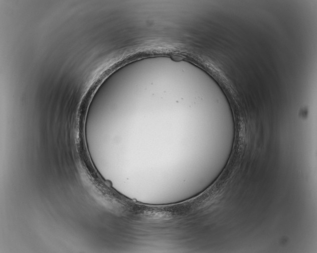 X0000116260582200912211738