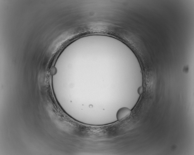 X0000116260583200912211738