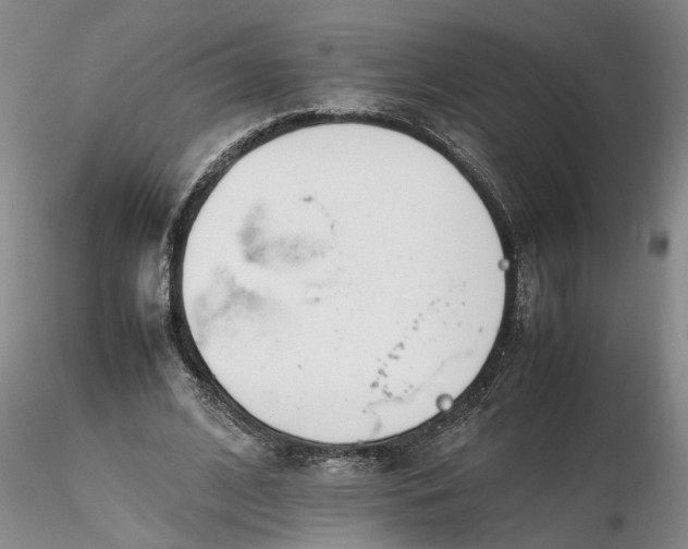 X0000116260584200912211738