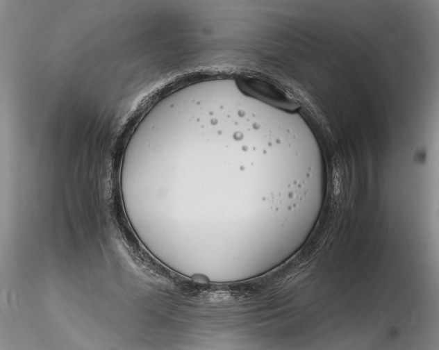 X0000116260588200912211738