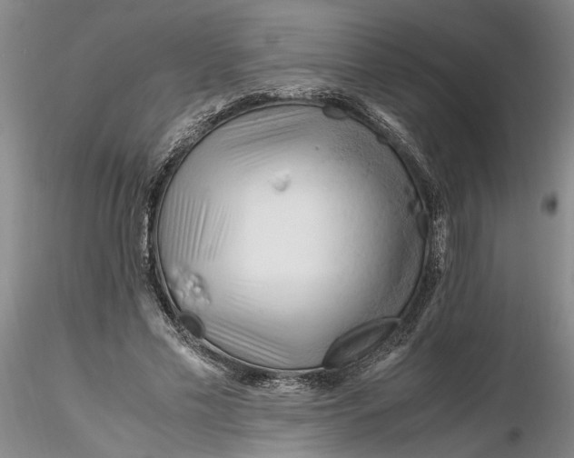 X0000116260589200912211738