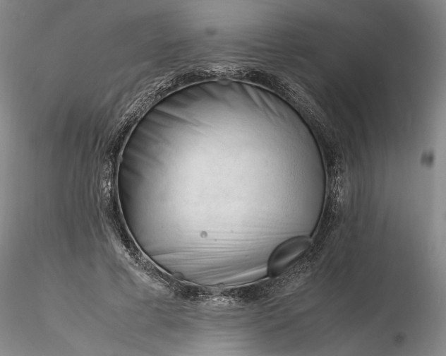 X0000116260593200912211738