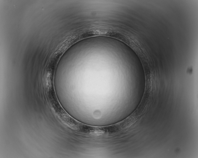 X0000116260598200912211738