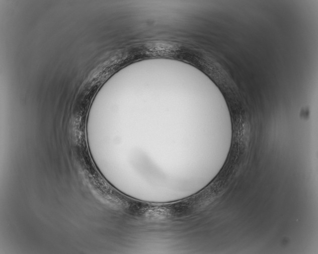 X0000116260599200912211738