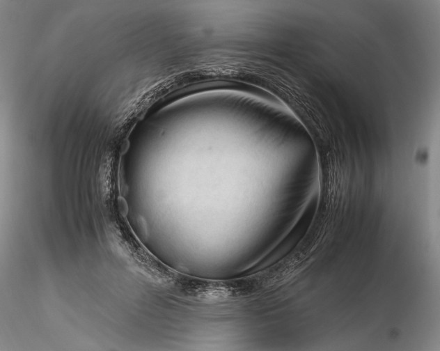 X0000116260600200912211738