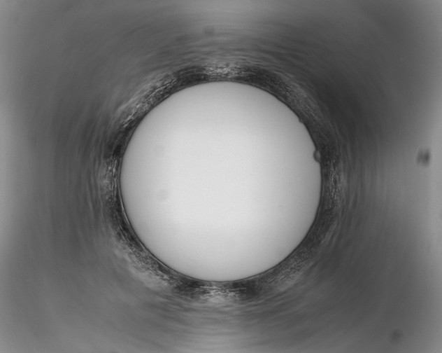 X0000116260601200912211738