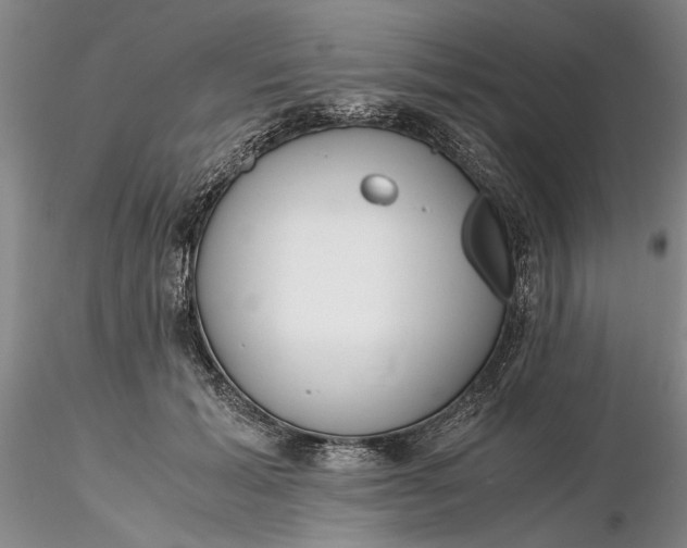 X0000116260605200912211738