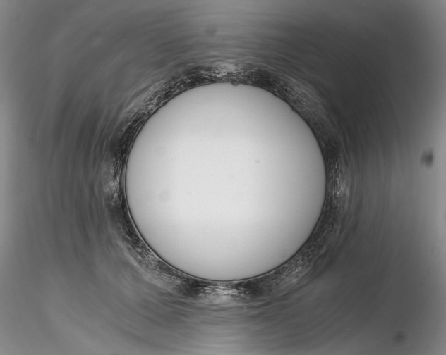 X0000116260607200912211738