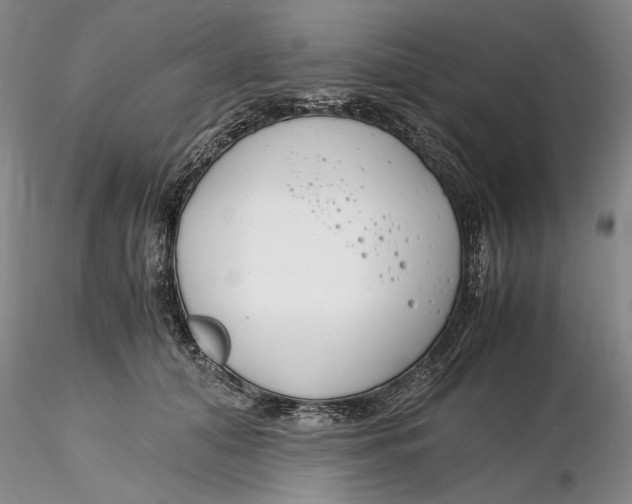 X0000116260608200912211738