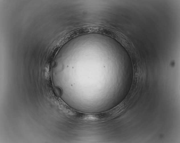 X0000116260610200912211738