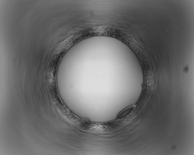 X0000116260611200912211738