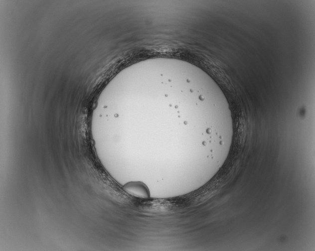 X0000116260612200912211738