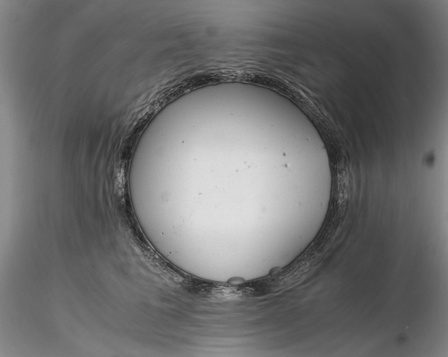 X0000116260613200912211738