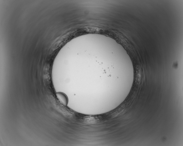 X0000116260616200912211738