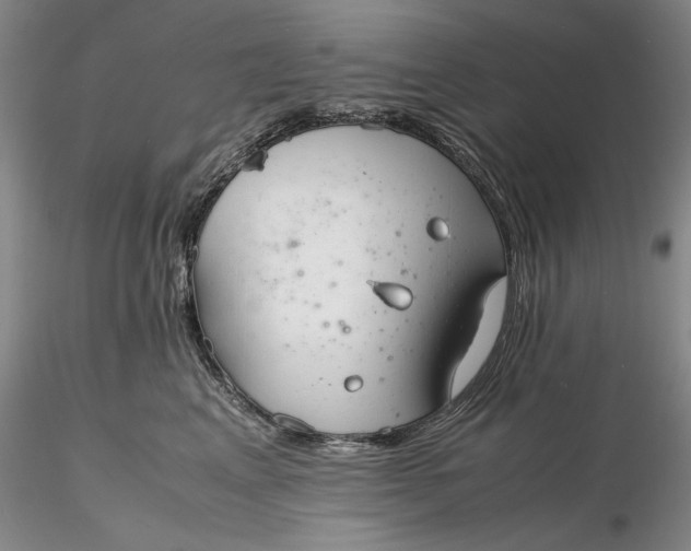 X0000116260617200912211738