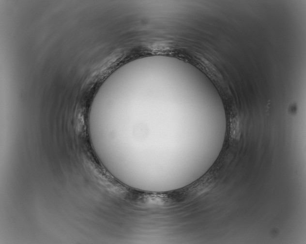 X0000116260618200912211738