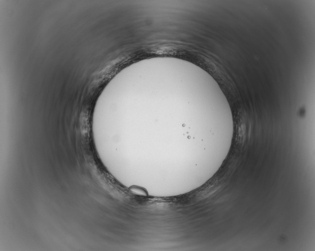 X0000116260620200912211738