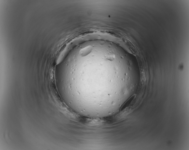 X0000116260621200912211738