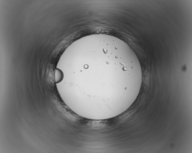 X0000116260622200912211738