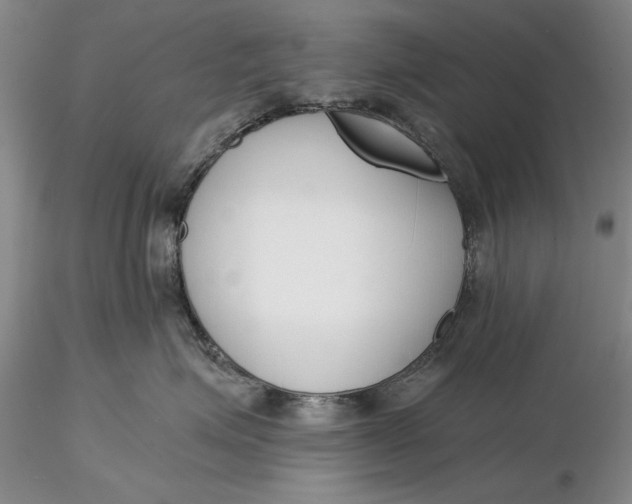 X0000116260623200912211738